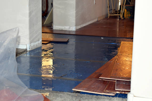 Professional Water Extraction technician working in Moclips, WA